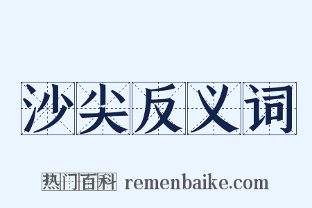 沙尖反义词是什么意思的图片